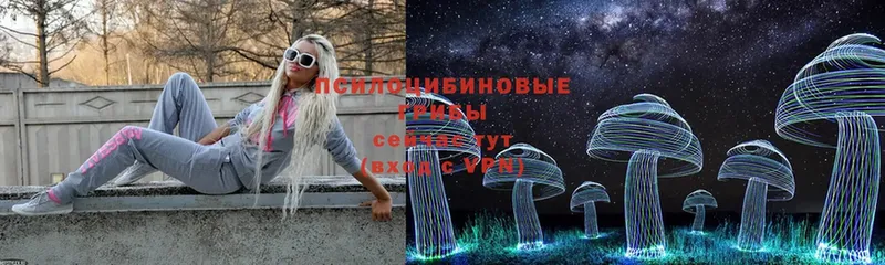 Псилоцибиновые грибы Magic Shrooms  Коммунар 